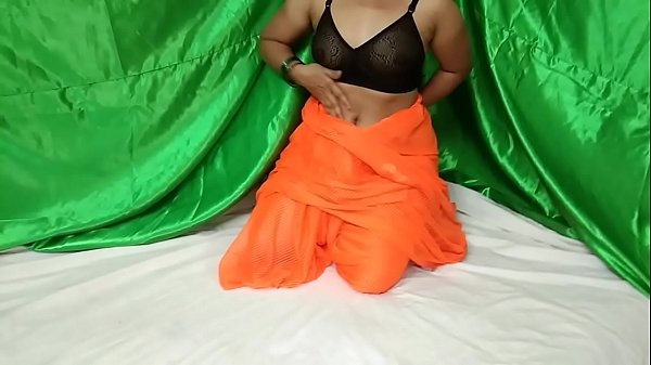 Indian Saree Wali Dulhan