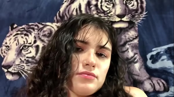 Xxx Star Renee Gracie